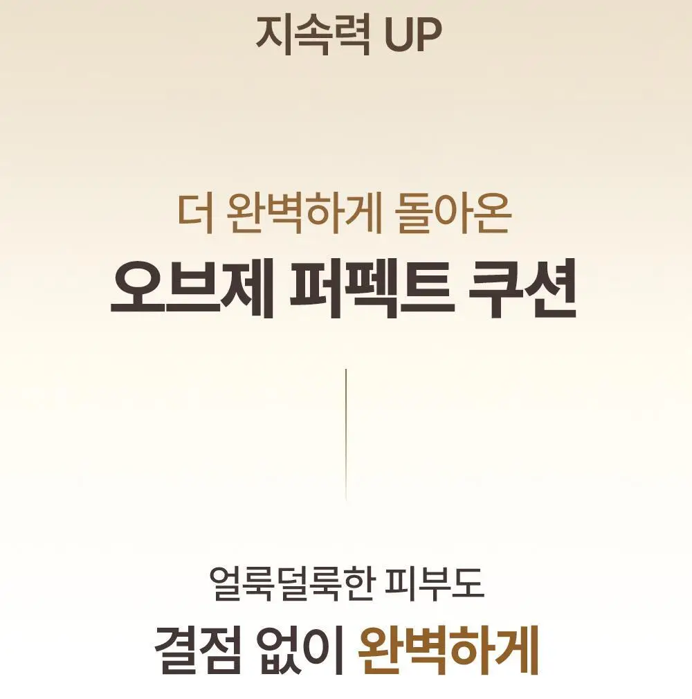 [NEW/덱스PICK] 오브제 퍼펙트 커버 쿠션 15g 상세페이지 4